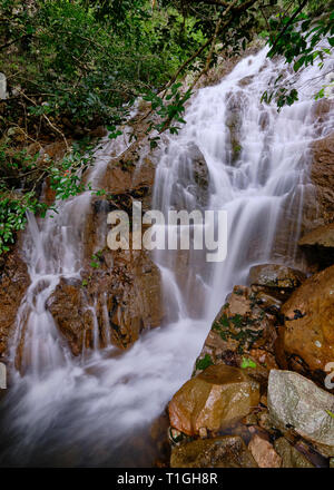 Fairy Falls, Paluma Range National Park, Townsville, Queensland, Australie Banque D'Images