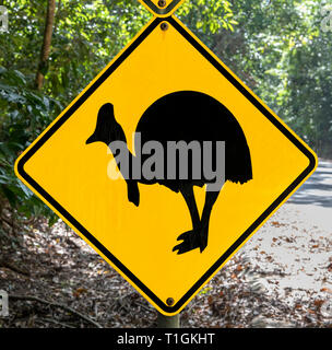 Méfiez-vous de Cassowary crossing road sign dans le parc national de Daintree, Queensland, Australie Banque D'Images