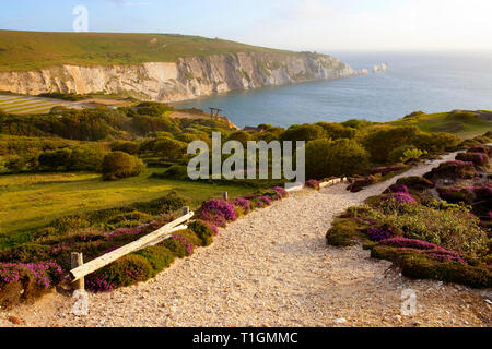 Vues,de,la,Aiguilles,Alum bay,du,Headon,Warren,Île de Wight, Angleterre, Royaume-Uni, Banque D'Images