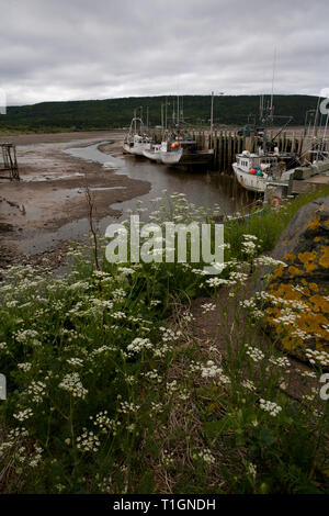 Advocate Harbour, comté de Cumberland, en Nouvelle-Écosse, Canada Banque D'Images