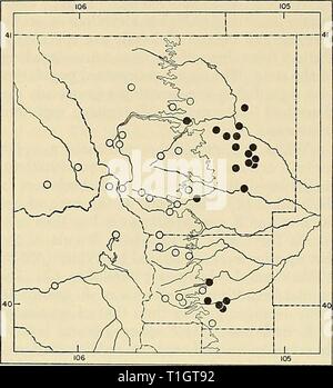 La distribution des mammifères marins dans le Colorado La Distribution des mammifères marins dans la région de Colorado distributionofma31972arms Année : 1972 110 MUSÉE D'HISTOIRE NATURELLE DE LA MONOGRAPHIE N°3 Fig. 42. Carte détaillée de Larimer et les comtés de Boulder et parties de comtés adjacents, montrant répartition d'Eutamias quadrivittatus (cercles pleins) et Eutamias umbrinus (cercles ouverts). L'amende, l'irrégularité de la ligne nord-sud est le 8000 pieds de contour. Municipalités tracées sont identifiés par un astérisque dans la liste respective des spécimens examinés. varie approche. Dans les montagnes du nord- ern et centre du Colorado, E. quadrivittatus est c Banque D'Images