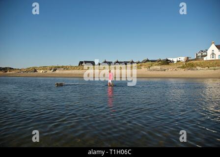 Chiffres lointain promènent leurs chiens sur la plage, conseil informatique, Anglesey, au nord du Pays de Galles, Royaume-Uni Banque D'Images