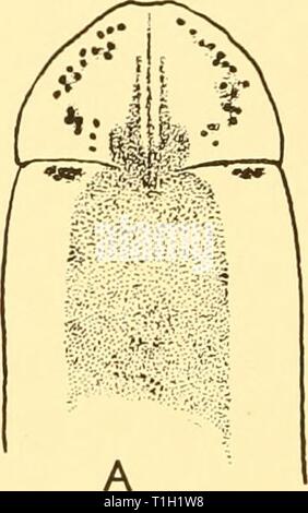 Rapports de découverte (1934) rapports de découverte discoveryreports09inst Année : 1934 a6o Rapports de découverte Banque D'Images