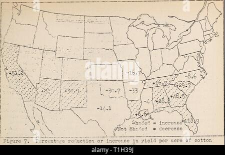 Les maladies des plantes dans les maladies des plantes aux États-Unis en 1930 diseasesofplants81barr Année : 1931 A2 de lg'O de rendement moyen par cere I515-I520. Les pertes de maladie étaient en général mucji moins de norme ? 1 dans 193r'" exemples remarquables sont la rouille, la rouille, la tavelure et de l'odorat grr.ins, mildiou de la pomme de terre à l'exception de la Floride, la septoriose bactérien de tomates, apple sceb dans la zone de sécheresse, et la pourriture brune de la pêche. D'autres être Trill noté dans le résumé. Certaines maladies, cependant, a montré une augmentation de l'effet destructeur. Il s'agit, naturellement, pot-de-fleur rnd la brûlure de la pourriture apicale de la tomate, et Banque D'Images