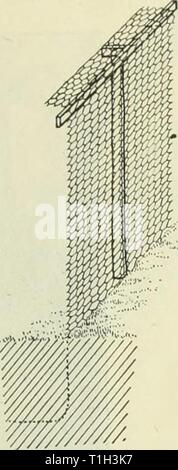 Le Silver Fox domestiquées (1917) Le renard argenté7951domesticatedsilv domestiqués chers Année : 1917 L'argent d'EOX domestiqués. 17 n de bien quand les ruelles sont utilisés entre les stylos, comme illustré à la figure 14, c'est qu'elles soient fermées aux extrémités pour faciliter le retur animaux échappés et fournis avec les surplombs. Entrée du triage doit être par le biais de ces allées. Les portes peuvent être entièrement fait de bois, ou de la compensation fixée à un châssis robuste qui peut ne pas être rongé par un renard ou voilé (fig. 19). S'ils sont divisés en parties inférieure et supérieure de taille égale, une grande partie de la population de la compensation Banque D'Images