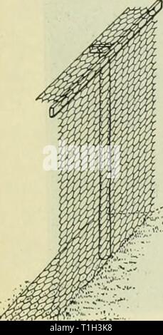 Le Silver Fox domestiquées (1917) Le renard argenté7951domesticatedsilv domestiqués chers Année : 1917, lorsque les ruelles sont utilisés entre les stylos, comme illustré à la figure 14, c'est qu'elles soient fermées aux extrémités pour faciliter le retur animaux échappés et fournis avec les surplombs. Entrée du triage doit être par le biais de ces allées. Les portes peuvent être entièrement fait de bois, ou de la compensation fixée à un châssis robuste qui peut ne pas être rongé par un renard ou voilé (fig. 19). S'ils sont divisés en parties inférieure et supérieure de taille égale, une grande partie de la population de chemins de compensation lorsque la neige est profonde peut être éliminé en Banque D'Images