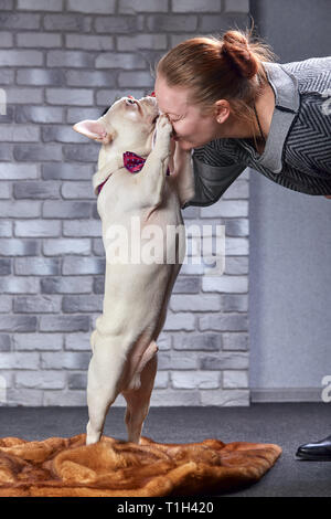 Bouledogue français sur les mains de son maître. Il est estimé que la fille aime son animal de compagnie et les embrassades et l'embrasser. Banque D'Images