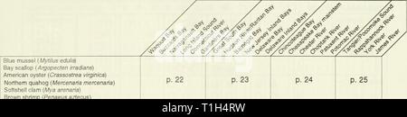Distribution et l'abondance de poissons répartition et l'abondance de poissons et d'invertébrés dans les estuaires de l'Atlantique mi- distributionabun00unit Année : 1994 Tableau 4. Distribution spatiale et l'abondance relative de l'index pour le tableau 4. La page Emplacement du tableau de distribution spatiale de chaque espèce et de l'estuaire. Moule bleue Mytilus {eduli Bay Scallop (Argopecten irradians) L'huître américaine (Crassostrea virginica) Nord praire (Mercenaria mercenaria) la mye (Mya arenaria) crevette (Penaeus aztecus) Daggerbiade (Palaemonetes pugio) Sevensplne {crevettes bay Crangon septemspinosa) suis Banque D'Images