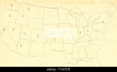 Les maladies de l'ombre de la forêt et les maladies des forêts et l'ombre des arbres, plantes ornementales et de plantes diverses aux États-Unis en 1921 diseasesofforest23mart Année : 1922, 43. 54- Répartition géographique du chancre cytosporéen peuplier causée par chnsosperna FcrsO (Fr. dans la U. S., telles que déclarées à l'Enquête sur les maladies des plantes Hie. Le chancre européen causé par Dothichiza populea Sacc. New York - plus répandue â¢J-.un au cours des années précédentes. Minnesota - les relations étaient secs et chauds ; maladies cormon. Illinois (RBM) .nthracncse arssonia ? !par pcpuli (Lib.) Sacc. ''Ev ; York rev ; Jersey - abondants. Banque D'Images