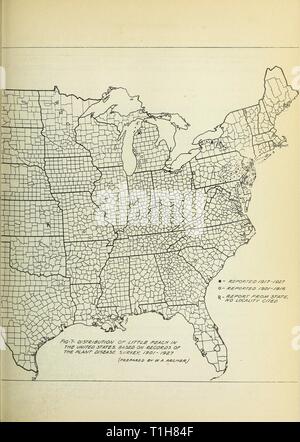 Des maladies Maladies de fruits et de noix de fruits et noix aux États-Unis en 1927 diseasesoffruitn60benn Année : 1928 Banque D'Images