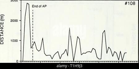 La distribution, le choix de l'habitat et la survie de la distribution, le choix de l'habitat et la survie des transplantés Columbian tétras à queue fine (Tympanuchus phasianellus columbianus) dans la vallée du tabac, Montana1992distributionhab cope 0 Année : 1992 57 Figure 14. Le graphique des mouvements quotidiens d'hommes Columbian tétras à queue #  108 transplantés dans la vallée du tabac au printemps de 1990. 3000 0 10 20 30 40 60 50 Déménagements consécutifs peuvent - 19 août. 1990 Figure 15. Le graphique des mouvements quotidiens d'hommes Columbian tétras à queue #  229 transplantés dans la vallée du tabac au printemps de 1990. 500 Banque D'Images