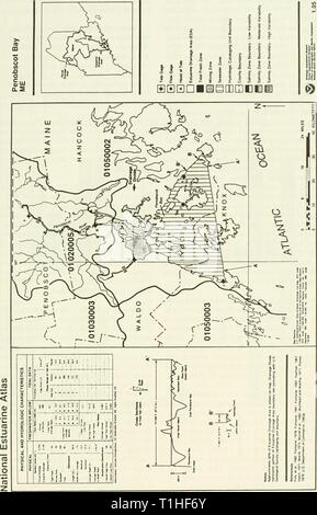 Distribution et l'abondance de poissons répartition et l'abondance de poissons et d'invertébrés dans les estuaires de l'Atlantique Nord1994distributionabun 147 unité Année : 1994 Banque D'Images