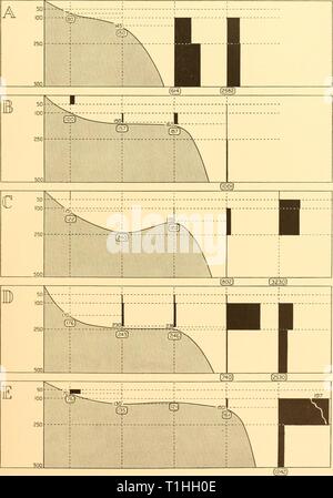 Rapports de découverte (1935-1936) rapports de découverte discoveryreports11inst Année : 1935-1936 COPEPODA 173 Fig. 80-suite 23 Banque D'Images