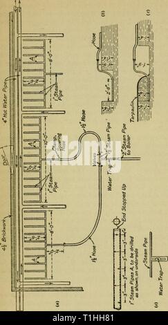 Les maladies des plantes en serre (1923) Maladies des plantes en serre1923diseasesofglassh bewl Année : 1923 O 3 un bus] S* £0) 5- Banque D'Images