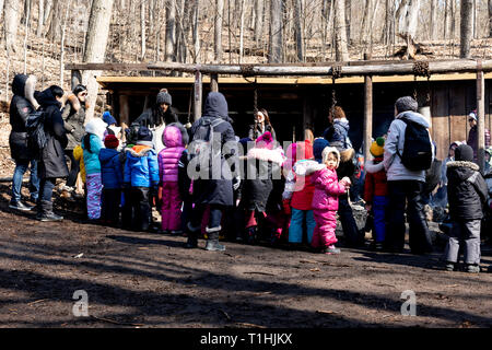 Au cours de l'école de démonstration de sirop d'érablière en Ontario Canada Banque D'Images