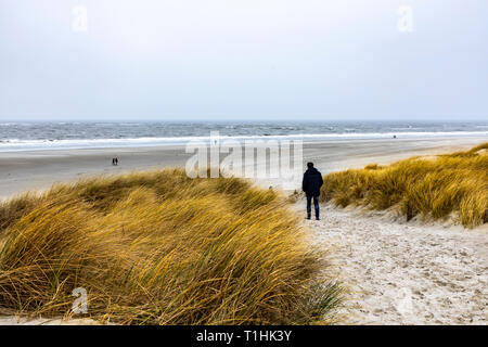 Mer du nord île Langeoog, Ostfriesland, Basse-Saxe, plage, dunes, Banque D'Images