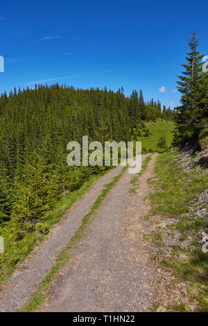 Paysage composite clôture. près de la croix de chemin à flanc de montagne prés. peu de sapins d'une forêt située sur le côté de la route Banque D'Images