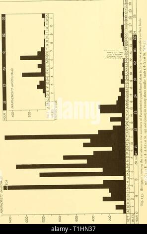 Rapports de découverte (1935-1936) rapports de découverte discoveryreports11inst Année : 1935-1936 260 rapports de découverte Banque D'Images