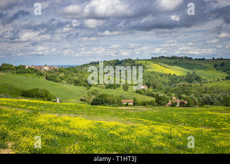 Couleurs du Printemps dans les collines de Monferrato, Piémont, Italie. Paysage avec ciel nuageux. Banque D'Images