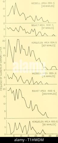 Rapports de découverte (1937) rapports de découverte discoveryreports15inst Année : 1937 Zone de Weddell 1934-5 [143] BALEINES 105 20 25 30 Nombre de corps jaunes Fig. 8. Fréquence de nombre de corps jaunes, 1934-5 anc I935°- Banque D'Images