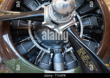 Gros plan du moteur rotatif sur la DEUXIÈME GUERRE MONDIALE un North American P-64 avions de chasse. Banque D'Images