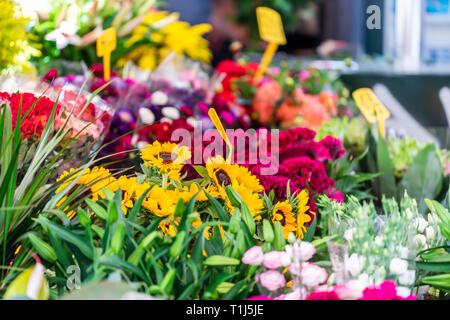 Gros plan du magasin de fleurs fleuriste de fleurs plantes sur les arrangements de fleurs d'affichage dans le Campo de fiori à Rome, Italie avec des tournesols Banque D'Images