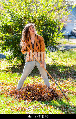 Propriétaire d'une jeune femme dans le jardin arrière-cour cour avant la collecte de ratisser les feuilles de chêne à feuillage automne sec debout avec le râteau dans l'automne ensoleillé à tir de Banque D'Images