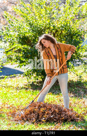 Jeune femme propriétaire d'une arrière-cour cour jardin dans la collecte de ratisser les feuilles de chêne à feuillage automne sec debout avec le râteau dans l'automne ensoleillé Banque D'Images