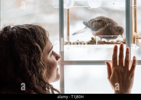 Libre de la tourterelle triste oiseau perché sur la perche du convoyeur plastique verre manger des noix graines en Virginie avec jeune fille heureuse femme part sur la fenêtre Banque D'Images