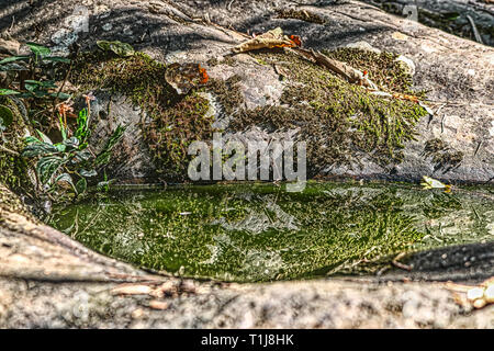 Cette photo montre la cascade jungle sauvage et étonnante nature également appelé Palau Chute d'Hua Hin en Thaïlande Banque D'Images