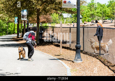 Atlanta, États-Unis - 20 Avril 2018 : homme, femme propriétaire avec golden retriever berger allemand et en laisse les chiens en milieu urbain ville Piedmont Park en été Banque D'Images