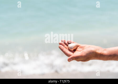 Homme ou femme gros plan main tenant un coquillage blanc sea shell au cours de bombardements activité d'amusement sur l'île de Sanibel, la Floride, lors de journée avec de spar bokeh Banque D'Images