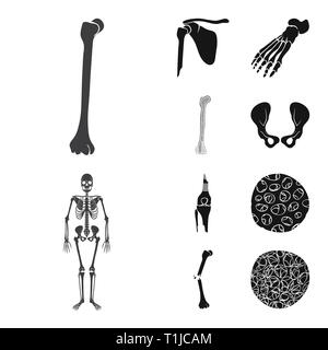 Fémur,foot,,hanche,l'appareil locomoteur Fracture,fibre,ostéoporose,casse,bassin,cheville,bony,joints,sain,scientifique,la douleur,cell,péroné jambe,squelettique,biais,tissu,,shin,,pelvienne podiatrie genou chirurgie,,,blessures musculaires,biologie,médical,os,,squelette anatomie,des,organes,médecine,clinique,,set,icône,,illustration,collection,isolé,design,graphisme,élément,signer,Black,de simples vecteurs vecteur , Illustration de Vecteur