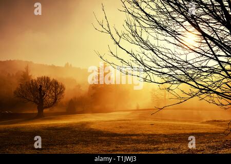 Un matin brumeux. Glebe park,Bowness on Windermere Lake District,,Cumbria, Angleterre, Royaume-Uni Banque D'Images