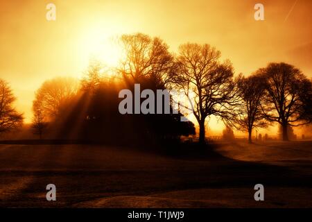 Un matin brumeux. Glebe park,Bowness on Windermere Lake District,,Cumbria, Angleterre, Royaume-Uni Banque D'Images