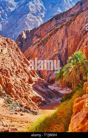 La courbe s'étend le long de l'étroit petit canyon coloré avec des pentes rocheuses abruptes, Sinaï, Égypte. Banque D'Images