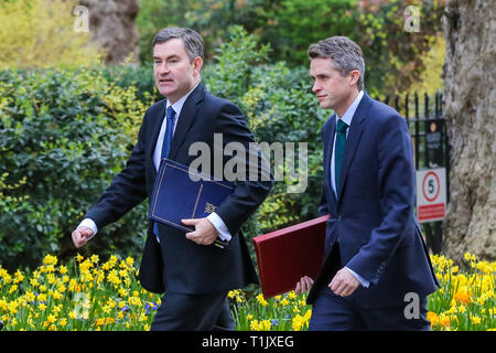 David Gauke - Secrétaire de la Justice (L) et Gavin Williamson - Secrétaire d'État à la défense (R) sont considérés à leur arrivée à l'Downing Street pour assister à la réunion hebdomadaire du Cabinet. Banque D'Images