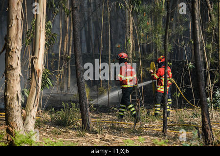 Pompiers vu en action lors d'un incendie qui a commencé en raison de températures chaudes au printemps, à 20 km de Viana do Castelo. Banque D'Images