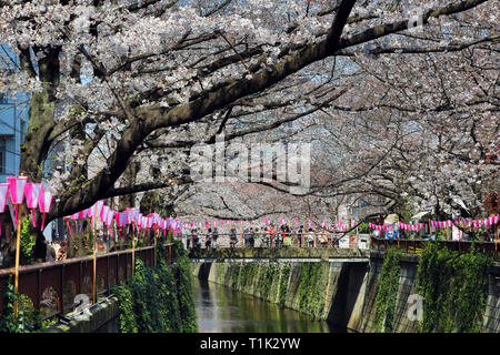 Tokyo, Japon. Mar 27, 2019. Personnes regardant les fleurs de cerisier d'un pont sur la rivière de Meguro à Tokyo, Japon. Affichage de la fleur de cerisier, Sakura, ou est devenu quelque chose d'un passe-temps national pour les Japonais, et est un atout considérable pour les touristes. Durant que d'environ deux semaines, il s'assure que les zones les plus populaires sont toujours bondés. Crédit : Paul Brown/Alamy Live News Banque D'Images