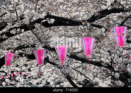 Tokyo, Japon. Mar 27, 2019. Lanternes rose accroché le long de la rivière Meguro de Tokyo au Japon sont un contrepoint à le blanc de la fleur de cerisier fleurs. Affichage de la fleur de cerisier, Sakura, ou est devenu quelque chose d'un passe-temps national pour les Japonais, et est un atout considérable pour les touristes. Durant que d'environ deux semaines, il s'assure que les zones les plus populaires sont toujours bondés. Crédit : Paul Brown/Alamy Live News Banque D'Images