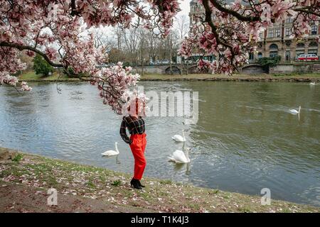 Paris, France. Mar 26, 2019. Une femme pose pour des photos en face de fleurs magnolia florissante à Strasbourg, France, le 26 mars 2019. Credit : Zhang Cheng/Xinhua/Alamy Live News Banque D'Images