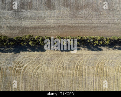 Paysage agricole de l'Australie et vue aérienne de motifs abstraits et des récoltes de champ avec des arbres en automne. Victoria, Australie. Banque D'Images