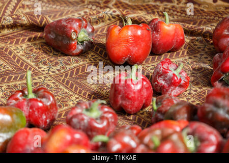 KASHGAR, Xinjiang / CHINE - 1 octobre 2017 : Poivron rouge sur un tapis traditionnel à un bazar de Kashgar. Banque D'Images