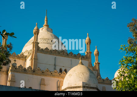 L'Acropolium, également connu sous le nom de Saint Louis Cathédrale à Byrsa - Carthage, Tunis, Tunisie Banque D'Images