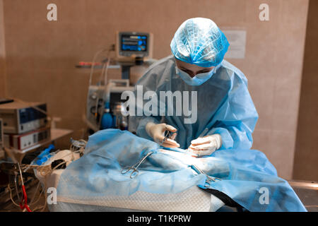 Vétérinaire ou les médecins faisant la chirurgie dans la clinique. la médecine, l'animal, les animaux, les soins de santé et les personnes concept. Banque D'Images