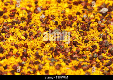 KASHGAR, Xinjiang / CHINE - 1 octobre 2017 : Close up / Macro de fleur de chrysanthème Neige - ingrédient pour herb de thé de fleurs. Banque D'Images