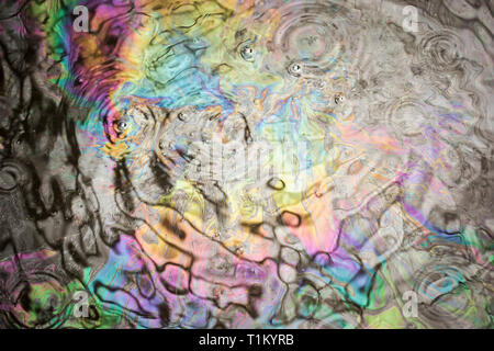 Fioul sur l'étang d'eau Banque D'Images