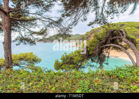 Sur la mer de jardins Santa Clotilde, en Catalogne. Espagne Banque D'Images