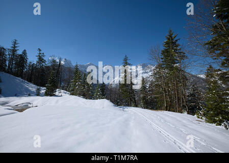 Les pistes de ski et de raquette de neige en face de Karwendel, Tyrol, Autriche Banque D'Images