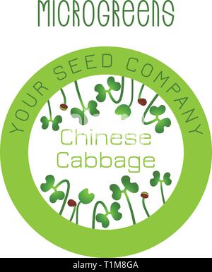 Microgreens chou chinois. La conception des emballages de semences, l'élément rond au centre Illustration de Vecteur